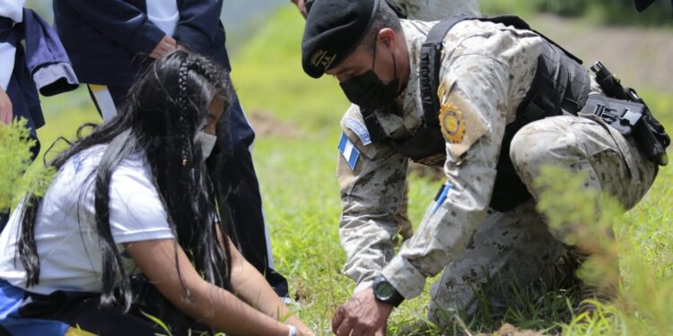 Concluye con éxito el programa “Más bosques, más vida”