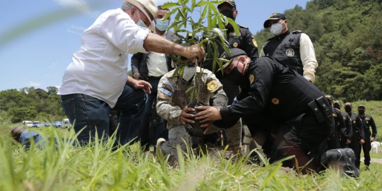 Concluye con éxito el programa “Más bosques, más vida”