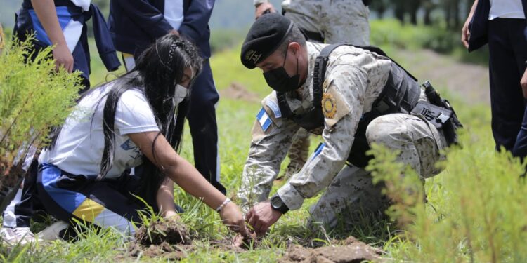 Concluye con éxito el programa “Más bosques, más vida”