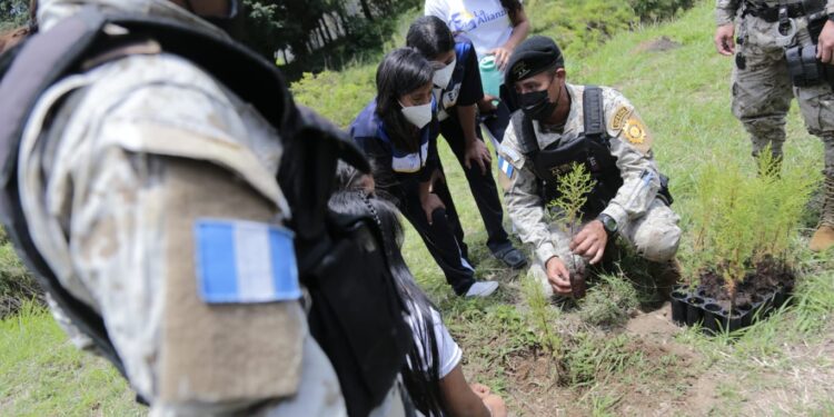 Concluye con éxito el programa “Más bosques, más vida”