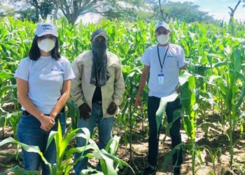 Instituciones continúan con programas de Servicio Cívico en todo el país