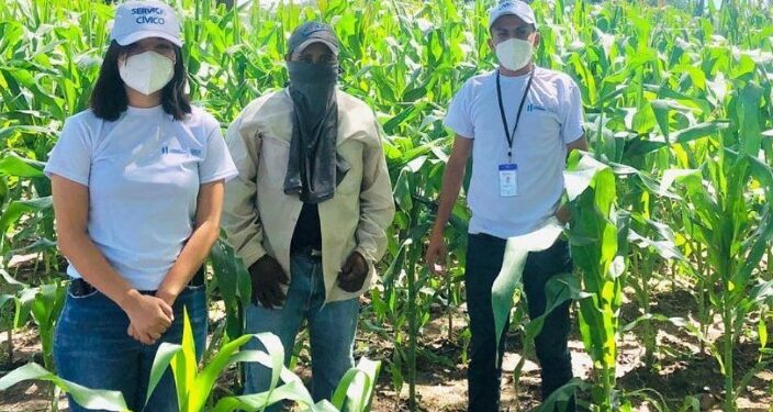 Instituciones continúan con programas de Servicio Cívico en todo el país