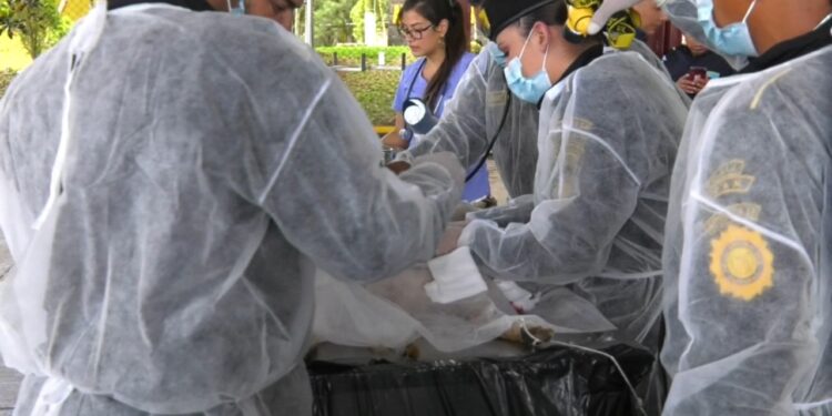 Quinto Viceministerio fortalece capacidades de agentes antinarcóticos