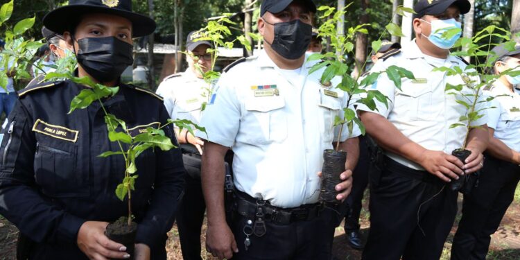 Jornadas de reforestación impulsan la convivencia pacífica y el acercamiento comunitario