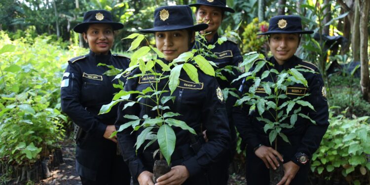 Jornadas de reforestación impulsan la convivencia pacífica y el acercamiento comunitario
