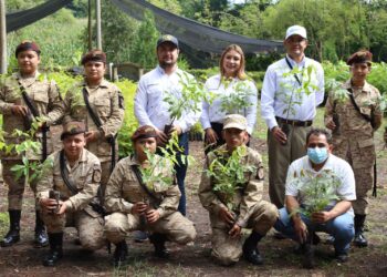 Jornadas de reforestación impulsan la convivencia pacífica y el acercamiento comunitario