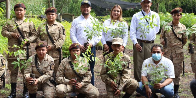 Jornadas de reforestación impulsan la convivencia pacífica y el acercamiento comunitario
