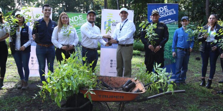 Jornadas de reforestación impulsan la convivencia pacífica y el acercamiento comunitario