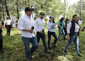 Prevención: jóvenes contribuyen a la reforestación en áreas de la ciudad de Guatemala