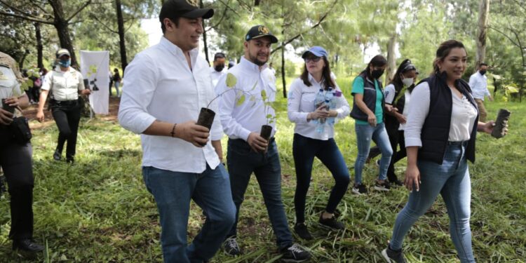 Prevención: jóvenes contribuyen a la reforestación en áreas de la ciudad de Guatemala