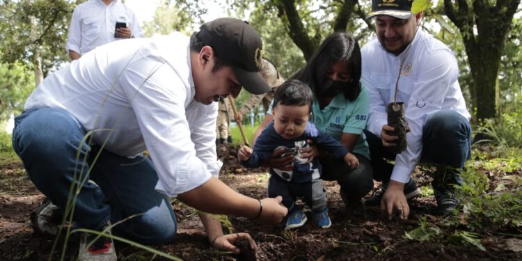 Prevención: jóvenes contribuyen a la reforestación en áreas de la ciudad de Guatemala