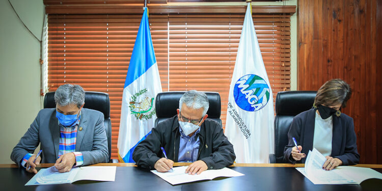 Avanza creación de Reservas Estratégicas de Alimentos