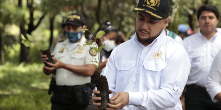 Prevención: jóvenes contribuyen a la reforestación en áreas de la ciudad de Guatemala