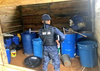 Ejército de Guatemala erradicó 341,251 arbustos de hoja de coca en Izabal y Alta Verapaz.