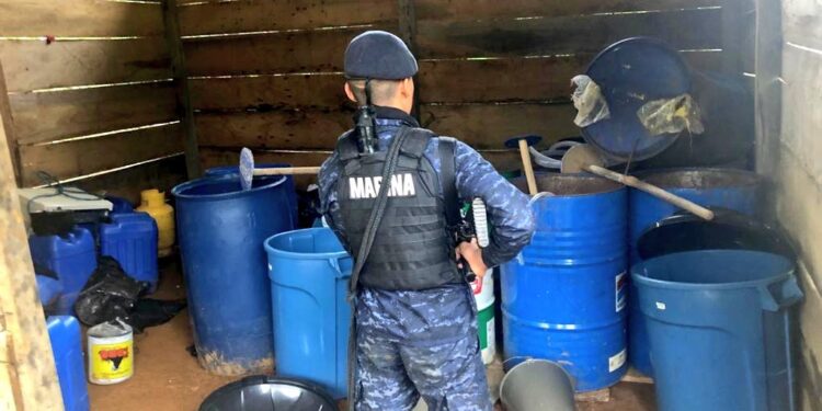 Ejército de Guatemala erradicó 341,251 arbustos de hoja de coca en Izabal y Alta Verapaz.