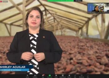 Gobierno de Guatemala organiza la Primera Rueda de Negocios del sector de cacao guatemalteco con empresarios chilenos