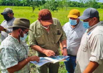 MAGA apoya buenas prácticas de ganadería sostenible en Petén