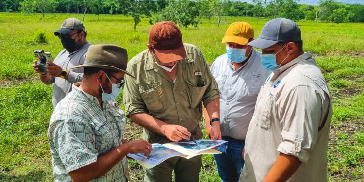 MAGA apoya buenas prácticas de ganadería sostenible en Petén