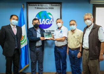 Guatemala se encamina a fortalecer la agrocadena del bambú