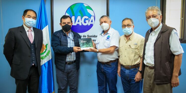 Guatemala se encamina a fortalecer la agrocadena del bambú