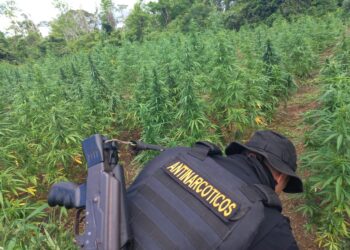 Operatividad policial incrementa resultados positivos