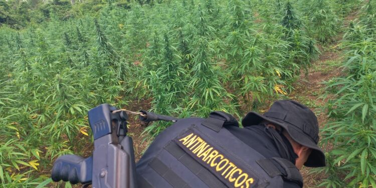 Operatividad policial incrementa resultados positivos