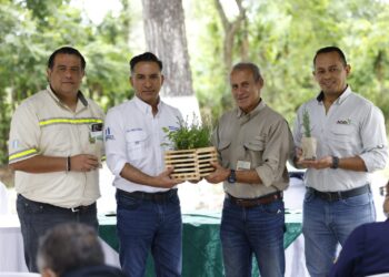 Más árboles para reforestar y restaurar Guatemala
