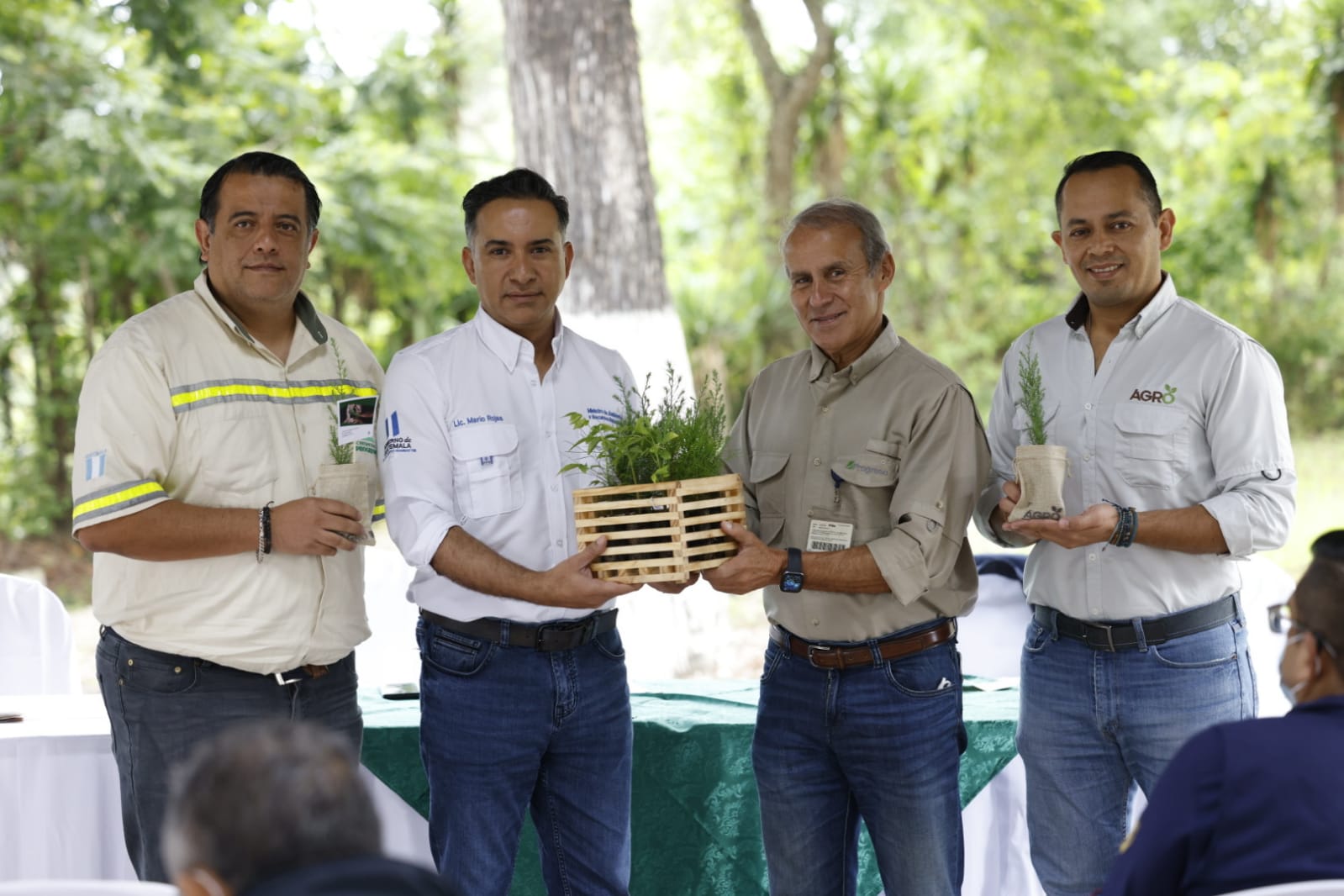 Más árboles para reforestar y restaurar Guatemala - Gobierno de Guatemala