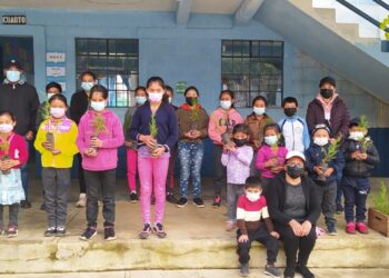 Reforestación y formación sobre los bosques llega a San Marcos