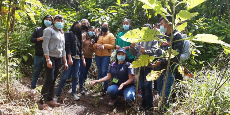 UPCV participa en proyecto de reforestación en Chimaltenango