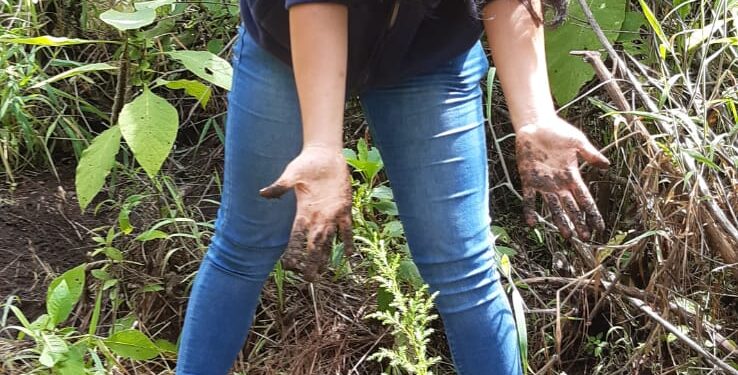 UPCV participa en proyecto de reforestación en Chimaltenango