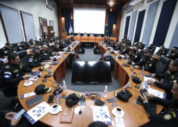 Mandos policiales reconocen respaldo de la cartera del Interior