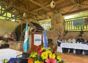 Desarrollo social e institucionalidad