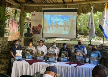 Acciones de Mides en busca del bienestar social