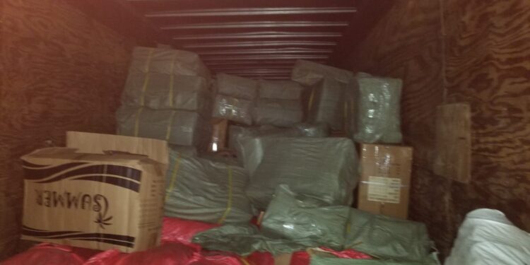 Autoridades decomisan mercadería falsificada en Izabal