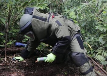 Didae localiza 6 explosivos en 48 horas