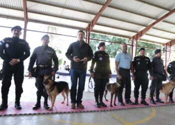 Guatemala se refuerza con agentes K-9 para el combate al crimen organizado y  narcotráfico