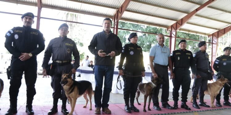 Guatemala se refuerza con agentes K-9 para el combate al crimen organizado y  narcotráfico