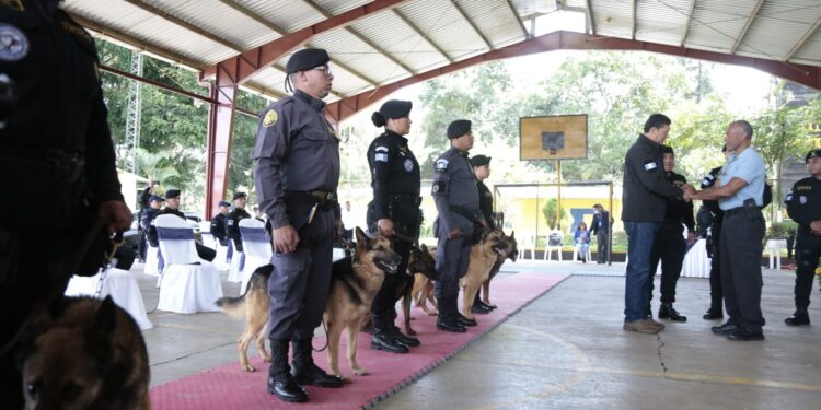 Guatemala se refuerza con agentes K-9 para el combate al crimen organizado y  narcotráfico