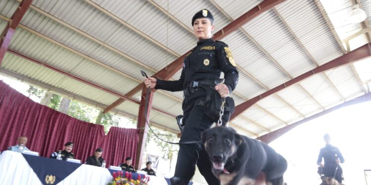 Guatemala se refuerza con agentes K-9 para el combate al crimen organizado y  narcotráfico