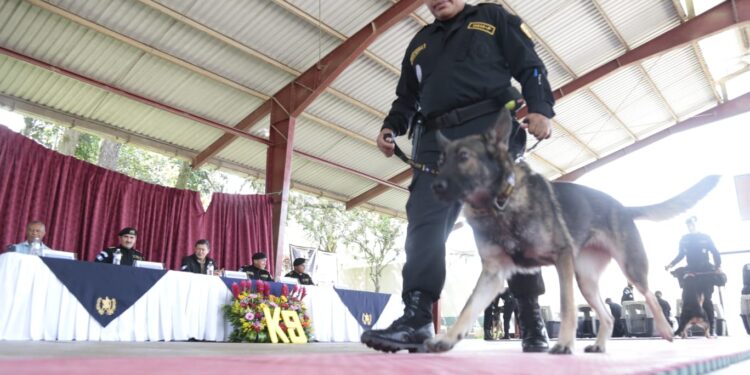 Guatemala se refuerza con agentes K-9 para el combate al crimen organizado y  narcotráfico