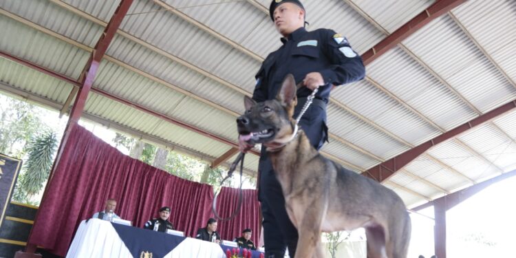 Guatemala se refuerza con agentes K-9 para el combate al crimen organizado y  narcotráfico