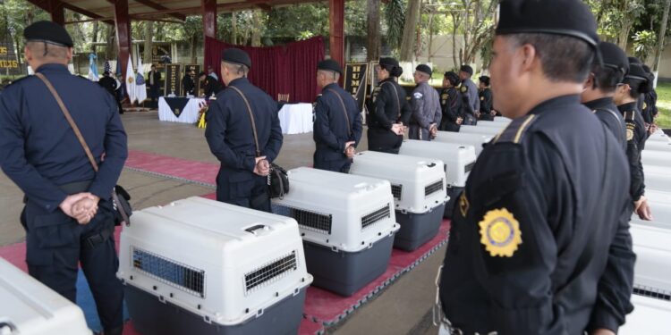 Guatemala se refuerza con agentes K-9 para el combate al crimen organizado y  narcotráfico