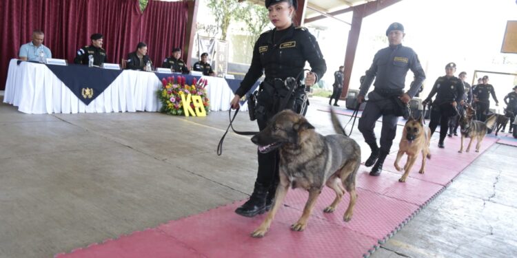 Guatemala se refuerza con agentes K-9 para el combate al crimen organizado y  narcotráfico