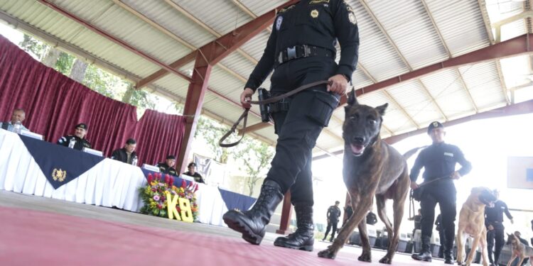 Guatemala se refuerza con agentes K-9 para el combate al crimen organizado y  narcotráfico