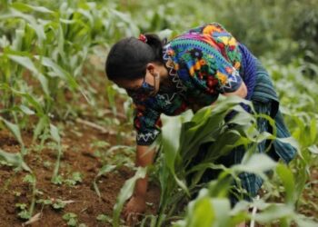 Ocho conclusiones climáticas del Foro Climático de América Central y su implicación en la seguridad alimentaria