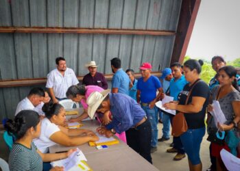 MAGA beneficia a más de 5 mil familias con semilla certificada de frijol