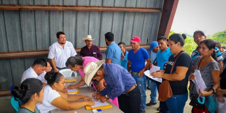 MAGA beneficia a más de 5 mil familias con semilla certificada de frijol