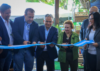 Guatemala avanza en la admisibilidad del aguacate a Estados Unidos