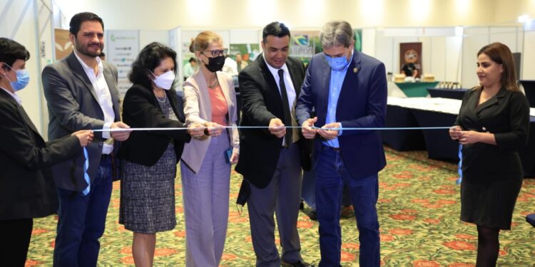 Agricultura orgánica crece en Guatemala